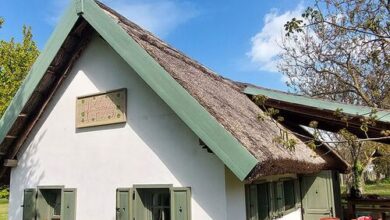 Szőlőhegyi Vendégház Balatonberény 