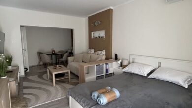 Tulipán Apartman Csongrád 