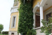 Vadszőlő Vendégház Vonyarcvashegy 