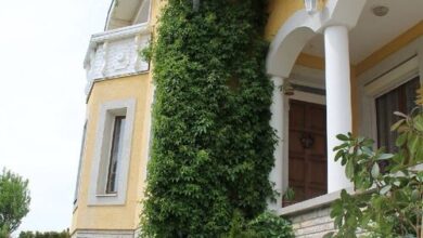 Vadszőlő Vendégház Vonyarcvashegy 
