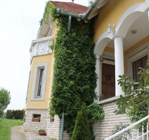 Vadszőlő Vendégház Vonyarcvashegy 