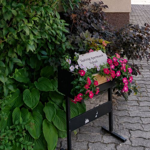 Vadvirág Apartmanok Szárszó – Balatonszárszó