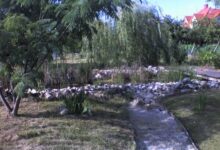 Villa Negra Apartman Keszthely 