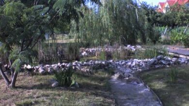 Villa Negra Apartman Keszthely 