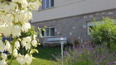 Vincze Villa Vendégház Bükkszék 