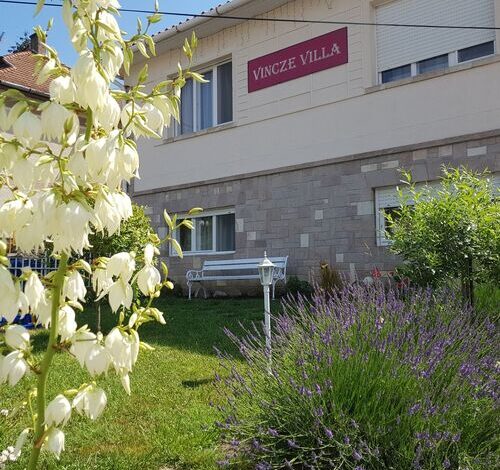 Vincze Villa Vendégház Bükkszék 