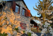 Vinea Apartman Vindornyaszőlős 