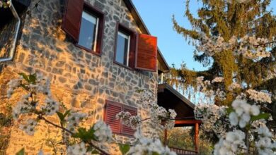 Vinea Apartman Vindornyaszőlős 