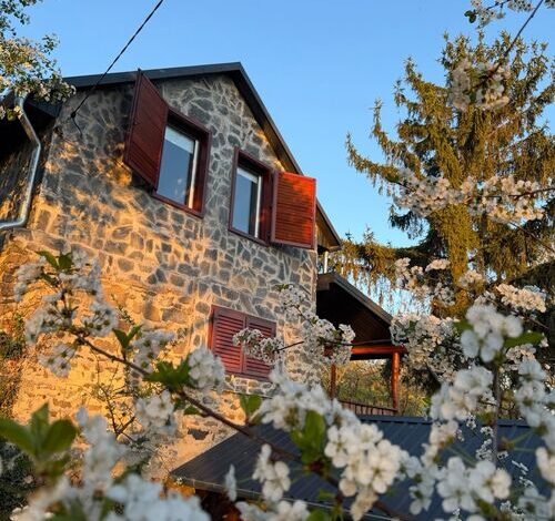 Vinea Apartman Vindornyaszőlős 