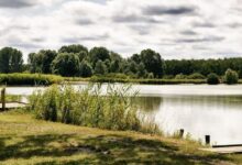 Vizitündér Pihenőpark Újhartyán 