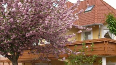 Zsuzsanna Apartman Hévíz 