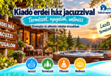 Kiadó erdei ház jacuzzival a természetben