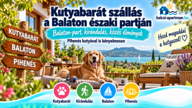 Kutyabarát szállás a Balaton északi partján