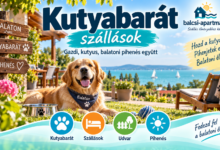 Kutyabarát szállások a Balatonnál