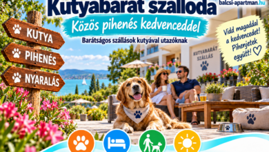 Kutyabarát szálloda kutyával utazóknak