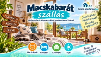 Macskabarát szállás cicával a Balatonnál