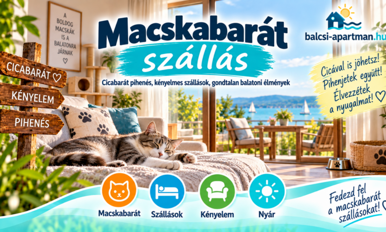 Macskabarát szállás cicával a Balatonnál