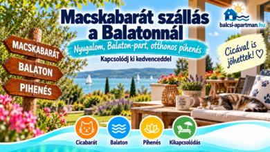 Macskabarát szállás a Balatonnál cicával
