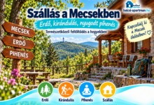 Szállás a Mecsekben – erdők