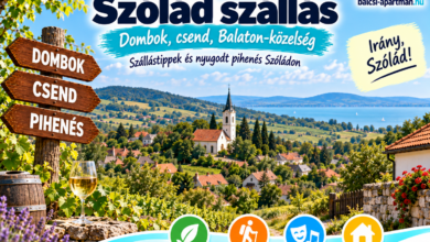 Szólád szállás – löszpincesor