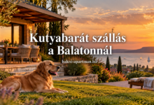 Kutyabarát szállás a Balatonnál – útmutató