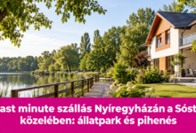 Last minute szállás Nyíregyházán a Sóstó közelében: állatpark és pihenés